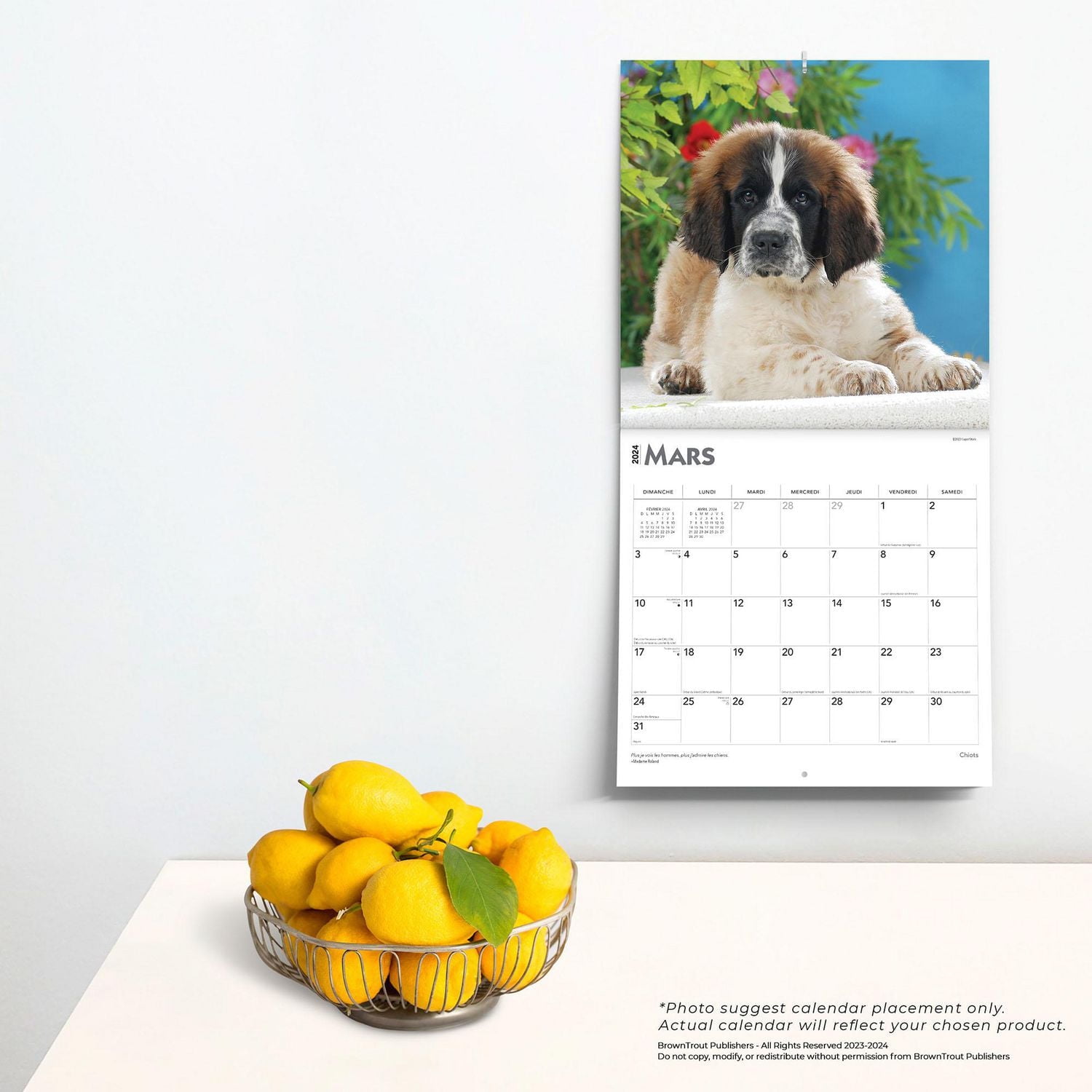 BrownTrout Puppies 2024 12x24 Inch Square Wall Calendar, 9781975470302