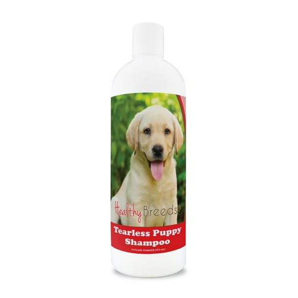 Healthy Breeds 840235109679 Labrador Retriever Shampoing Sans Larmes pour Chiot Chien