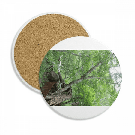 

Changbai Mountain Yuehua Art Deco Fashion Coaster Cup Mug Tabletop Protection Absorbent Stone