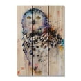 thumbnail image 4 of Day Dream HQ DCSO1624 16 x 24 in. Crousers Snowy Owl Inside & Outside wood Wall Art, 4 of 7