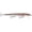 Live Rainbow Trout, variant on Rapala Original Floater Jerkbait 11 Live Rainbow Trout