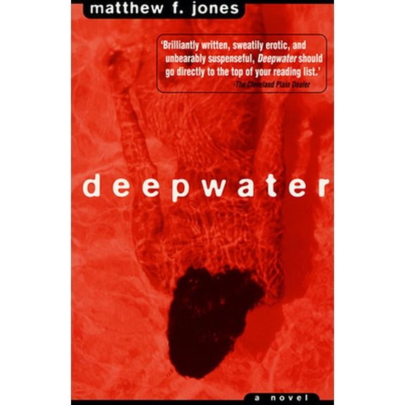 Pre-Owned Deepwater: A Novel (Paperback) 1582341095 9781582341095