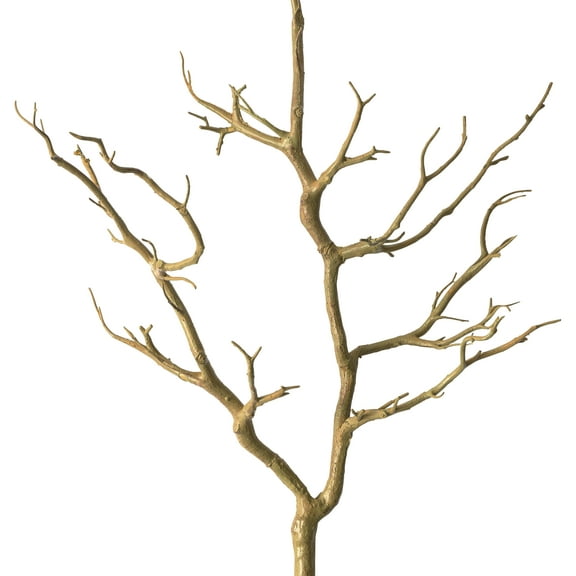3ft. Bare Birch Branch by Ashland