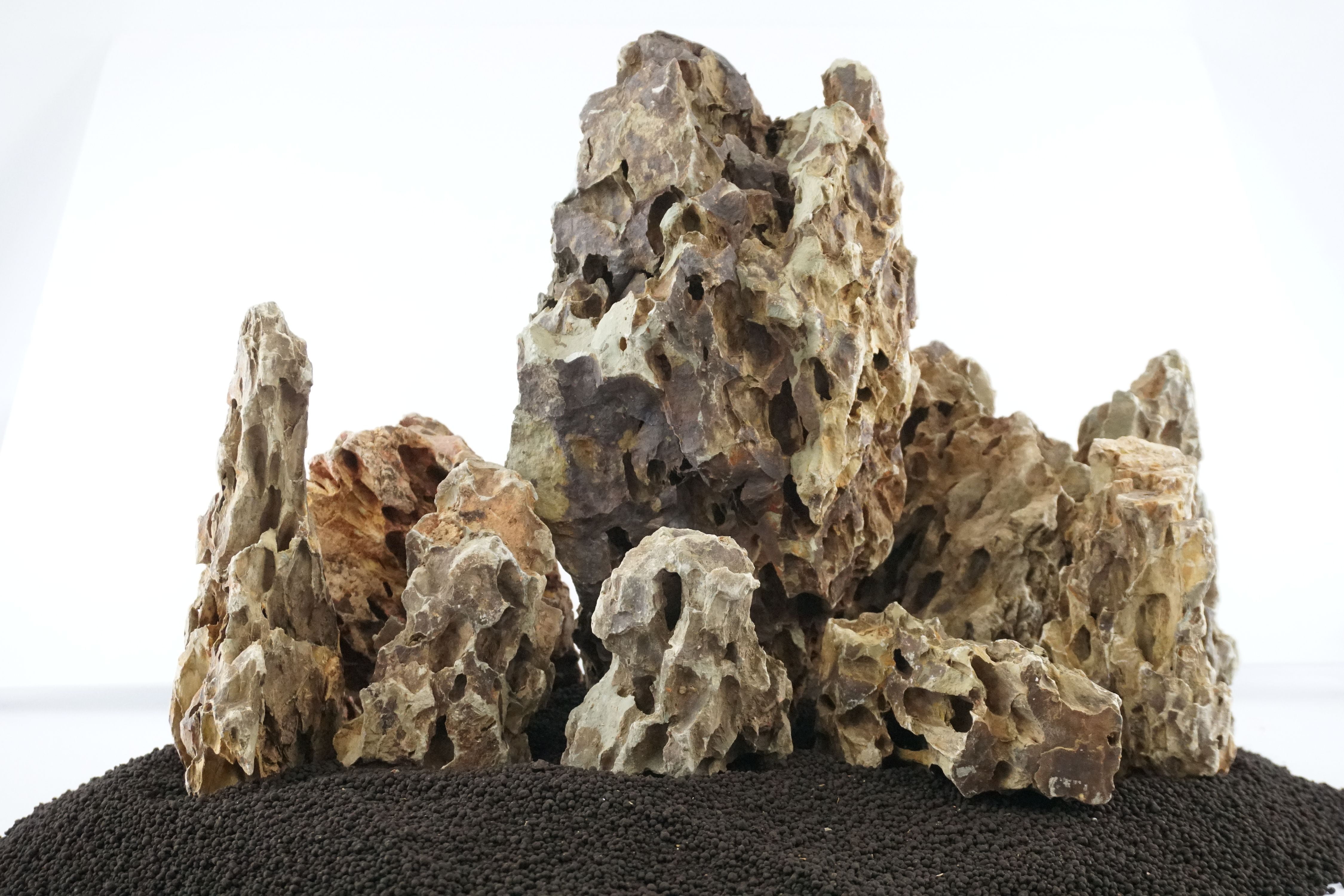 Burma Petrified Stone 25 Gallon Aquarium Rock Kit Lifegard Aquatics