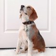 thumbnail image 5 of Extra Loud Brass Pet Collar Bells Pair - Durable Cat and Dog Bells for Pets, 5 of 5