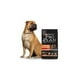 thumbnail image 2 of Combo Pro Plan Sensitive Skin Adulto Razas Medianas 10 Kg MAS Dos Latas Royal Canin Adulto 385 gr, 2 of 3