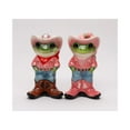 thumbnail image 3 of Ceramic Cowboy and Cowgirl Frog Salt and Pepper Shakers, Frog Lover Gift, Farmhouse Kitchen Decor, Gift for Her, 3 of 4