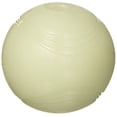thumbnail image 1 of CHUCKIT Balle Lumineuse Max, Petite, 1 of 10