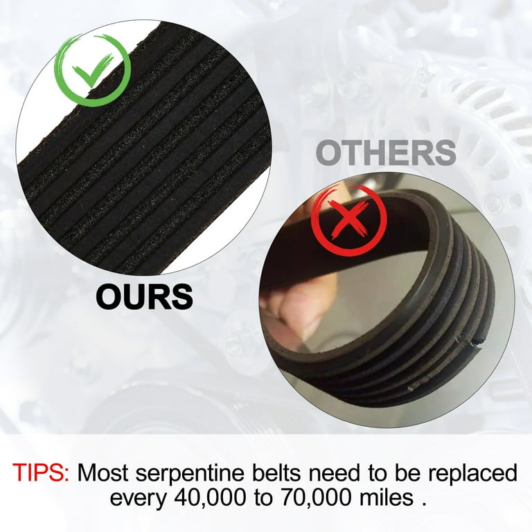 Maustron 6PK1875 EPDM Serpentine Belt For 2003 2008 Toyota Matrix 1.8L 2003 2005 Toyota Corolla Celica 1.8L Walmart