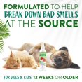 thumbnail image 4 of Spray desodorizante TropicLean Watermelon para gato y perro, 240 ml, 4 of 8