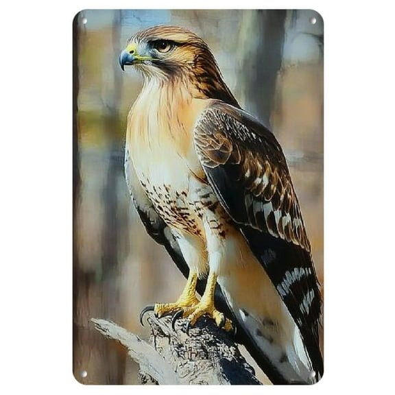 YNLLOOFC Red-Tail Hawk Portrait Retro Metal Tin Sign Funny Vintage Metal Plaque Artwork Poster Wall Decor Painting Office Bedroom Living Room Home Yard (08×12inch)