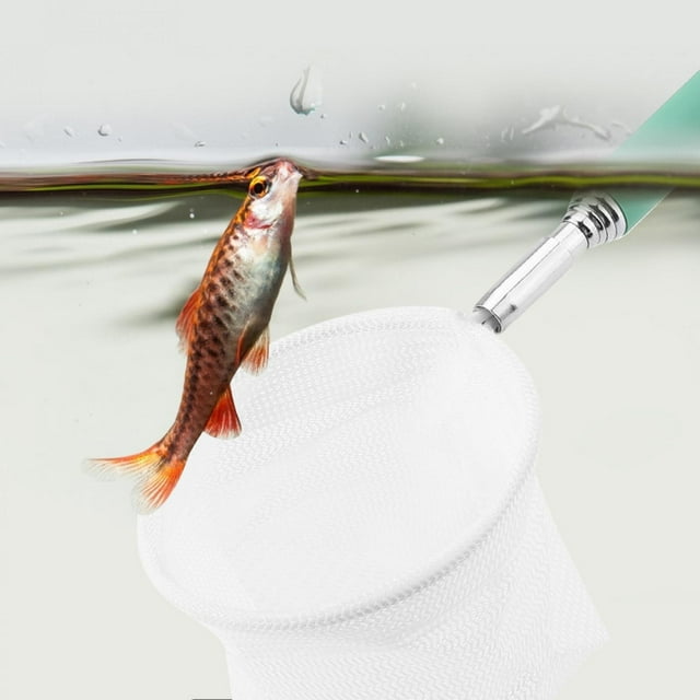 Telescopic Shrimp Skimming Net, Extendable Shrimp Skimming Net, Safe Quick Release Lightweight For Shrimp For Fish