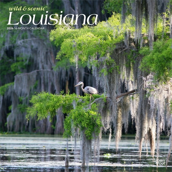 Louisiana Wild & Scenic | 2026 12x24" (Hanging) Wall Calendar | Plastic-Free