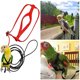 thumbnail image 2 of Arnés para pájaros y loros, correa ajustable, arnés volador para pájaros, cuerda de tracción con ala bonita para loros, adiestramiento al aire libre, 2 of 5