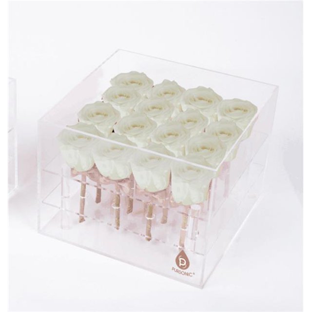 Pursonic PR16WH Roses Préservées, Blanc - 16 Unités