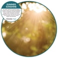 thumbnail image 7 of ourfreshE Refills Summer Sunshine, 6/Box, 7 of 7