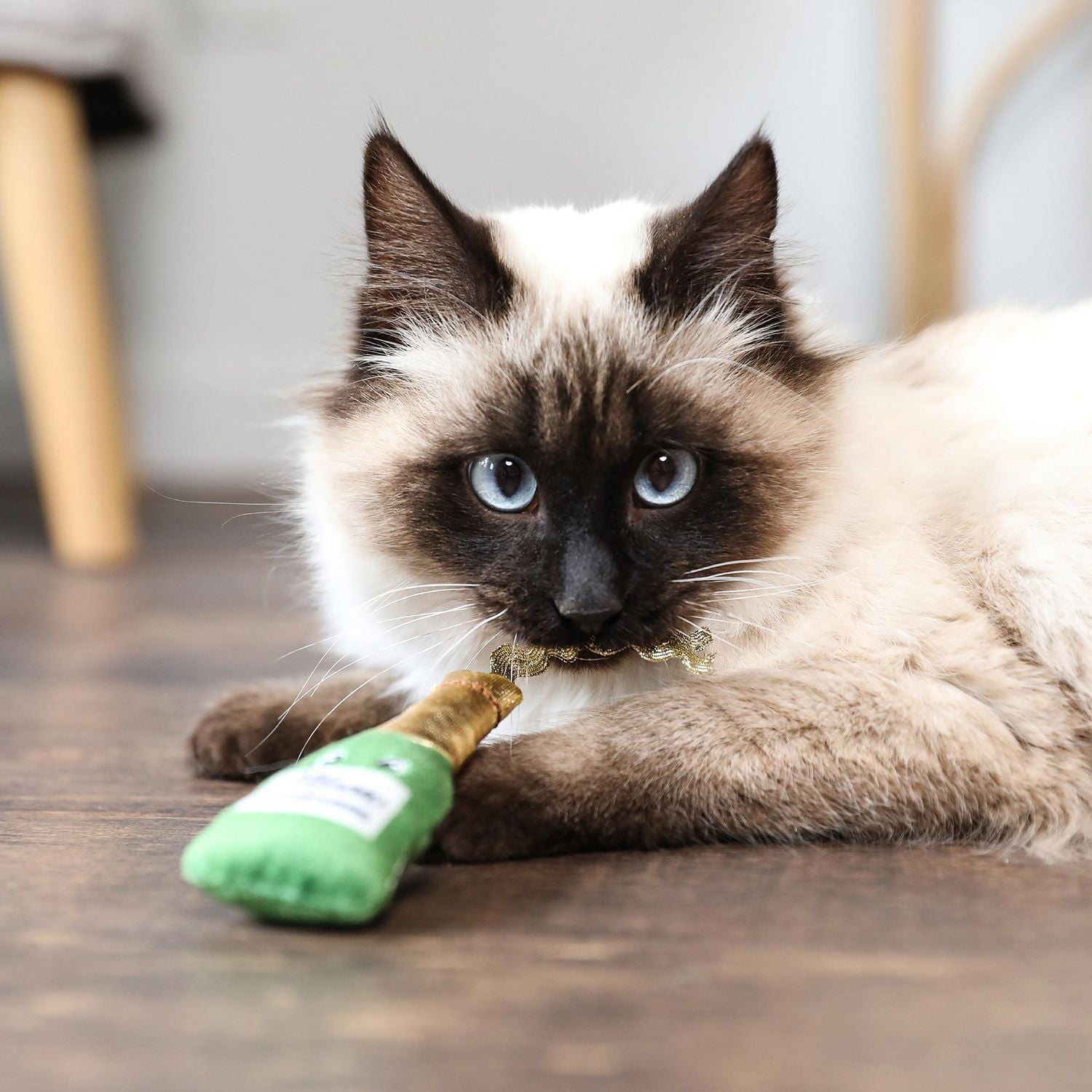 Quirky Kitty Wine & Cheese Plush Catnip 2 pack Cat Toy