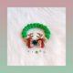 thumbnail image 1 of Christmas Cat and Dog Clothing Plush Ball Collar Reindeer Bow Wreath Vine Decoration Soft Material-M (40cm), 1 of 5