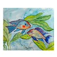 thumbnail image 1 of Betsy Drake BK642 Pair of Fish Fleece Throw, 1 of 1