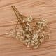 thumbnail image 5 of Flores Secas Prensadas con Millones de , Decoraciones Preservadas DIY para Joyería de Resina, Colgante Artesanal, Fabricació Macarena Flores secas prensadas naturales, 5 of 8
