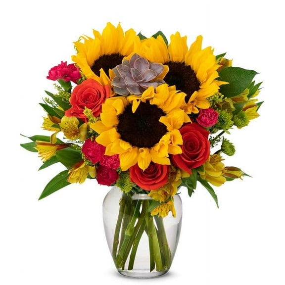 From You Flowers - Sweetest Sunflower Succulent Bouquet for Birthday, Anniversary, Get Well, Congratulations, Thank You, All Occasions