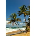 thumbnail image 2 of Jaynes Gallery 23x32 Gold Ornate Wood Framed with Double Matting Museum Art Print Titled - Caribbean-Trinidad-Blanchisseuse Bay Beach and ocean landscape, 2 of 4
