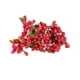 thumbnail image 1 of Cateissary Craft Mixed Red Artificial Flower Cherry Stamen Berries Bundle DIY Christmas Wedding Cake Caja de regalo Decoración Flores artificiales Tipo9 10 piezas Cateissary HA002022-09, 1 of 5