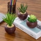thumbnail image 5 of Plantas suculentas artificiales MyGift con macetas redondas de cerámica, 5 of 7