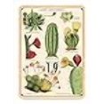 thumbnail image 3 of Succulents Perpetual Calendar, 3 of 3