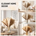 thumbnail image 6 of Sanmadrola Dried Pampas Grass 17'' Natural Boho Pampas Grass Farmhouse Decor, 110 Piece Spring Decor, 6 of 7