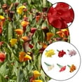 thumbnail image 4 of Ounissouiy 10 piezas PU flor falsa reemplazo decorativo hogar fiesta Hotel café casa flores artificiales decoración ornamento Decoración Amarillo Ounissouiy HA084201-01, 4 of 6