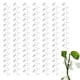 thumbnail image 4 of 100 Uds. Accesorio De Pared Trepadora De Plantas, Clip De Rama Autoadhesivo, Soporte De Enredaderas De Pared Para Jardinería Interior Del Hogar, 4 of 7