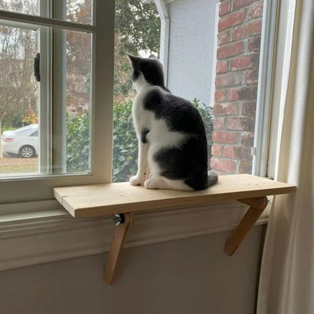 Cat Window Perch and Catio Entry/Exit Interior Shelf