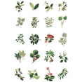 thumbnail image 2 of Wrapables Decorative Scrapbooking Washi Stickers, DIY Crafts for Stationery, Diary, Card Making (60 pcs), Greenery, 2 of 4