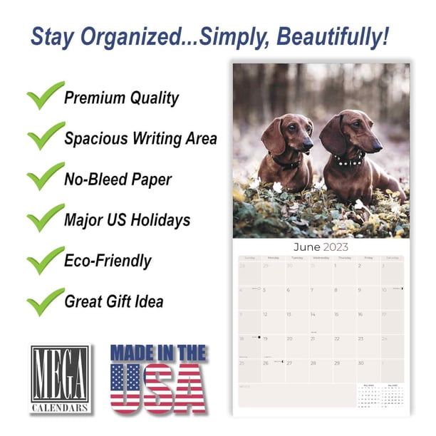 2022 2023 Dachshund Calendar - Dog Breed Monthly Wall Calendar - 12 x 24  Open - Thick No-Bleed Paper - Giftable - Academic Teacher's Planner Calendar  Organizing & Planning - Made in USA - Walmart.com