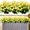 Yellow, variant on GRNSHTS 24 Bunches Outdoor Plants Artificial Flower Plants UV-Proof Shrub Plants Plastic Green Plants for Indoor and Outdoor Gardens, porches, Windows and Other Decoration(Yellow)