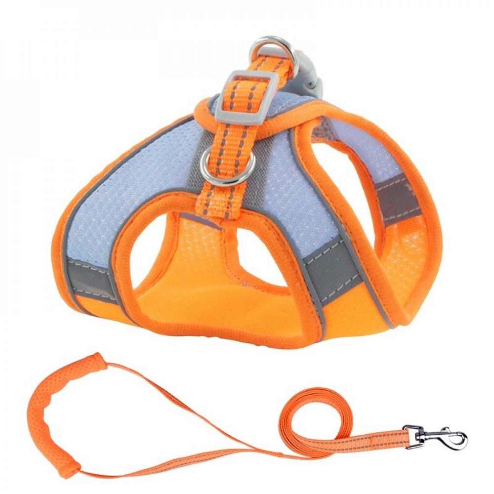 Elaydool Pet Harness Leash Set for Chihuahua Pug Small Medium Nylon