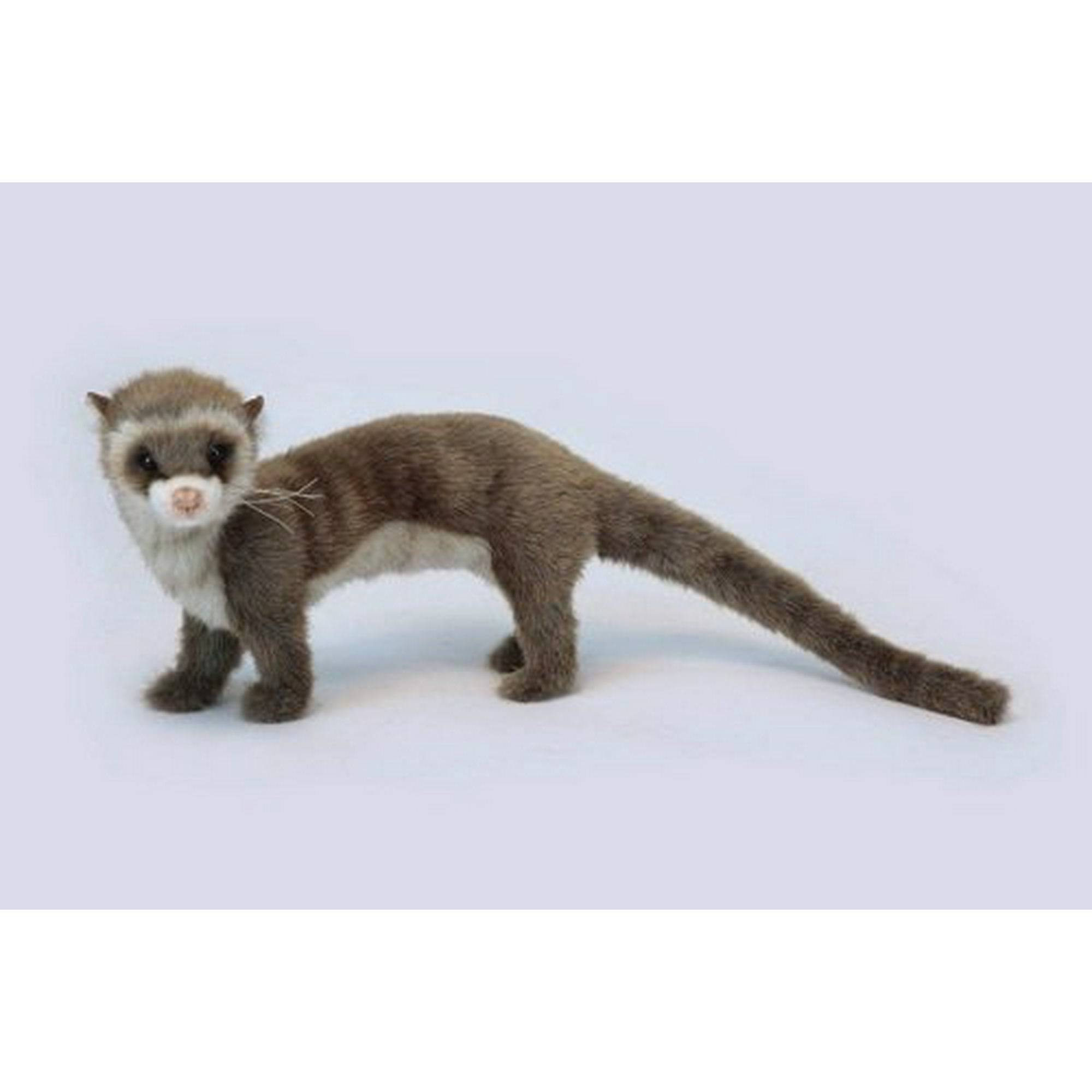 Hansa ferret hotsell