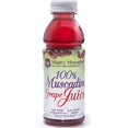 thumbnail image 1 of YBQF Mighty Muscadine 100% Muscadine SuperFruit Juice Cold Pressed from the Grape and Full of Antioxidants - 10 oz Bottle ( 4 BOTTLES ) ), 1 of 1