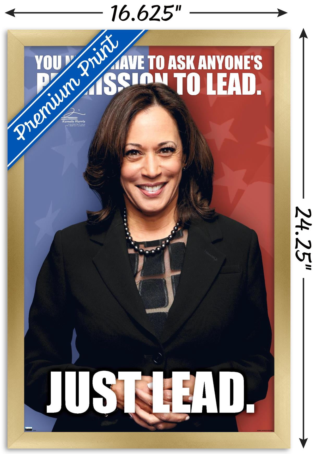Trends International Kamala Harris - 2021 Vice President Wall Poster 16.5" x 24.25" x .75" Gold Framed Version