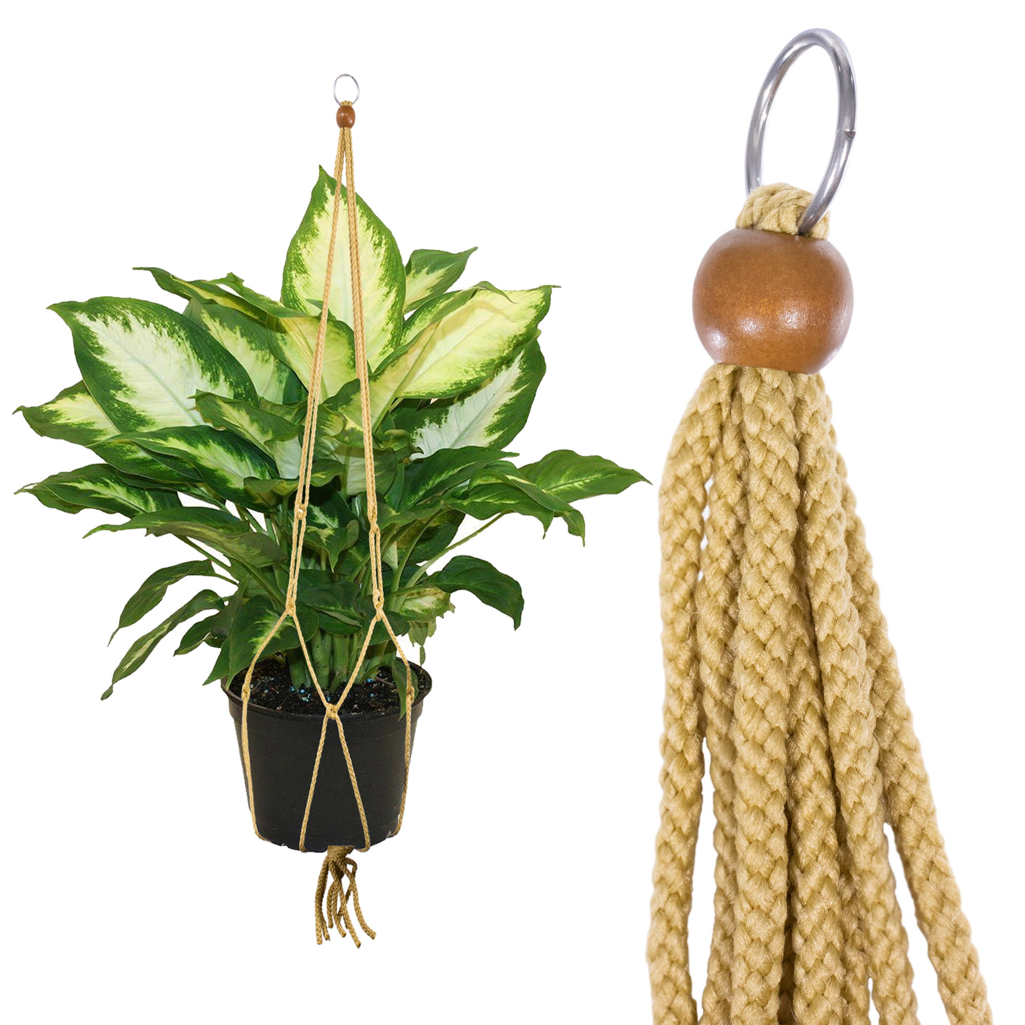 Macrame Plant Hanger Chocolate Brown and Parrot Green 