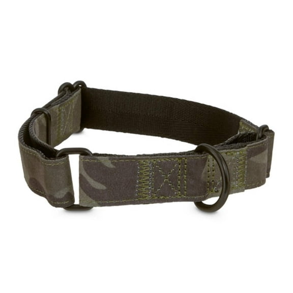 EveryYay Martingale Camo Dog Collar, Medium