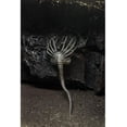 thumbnail image 3 of Alien (1979) 9" 40th Anniversary H.R. Giger Alien Action Figure, by NECA, 3 of 4