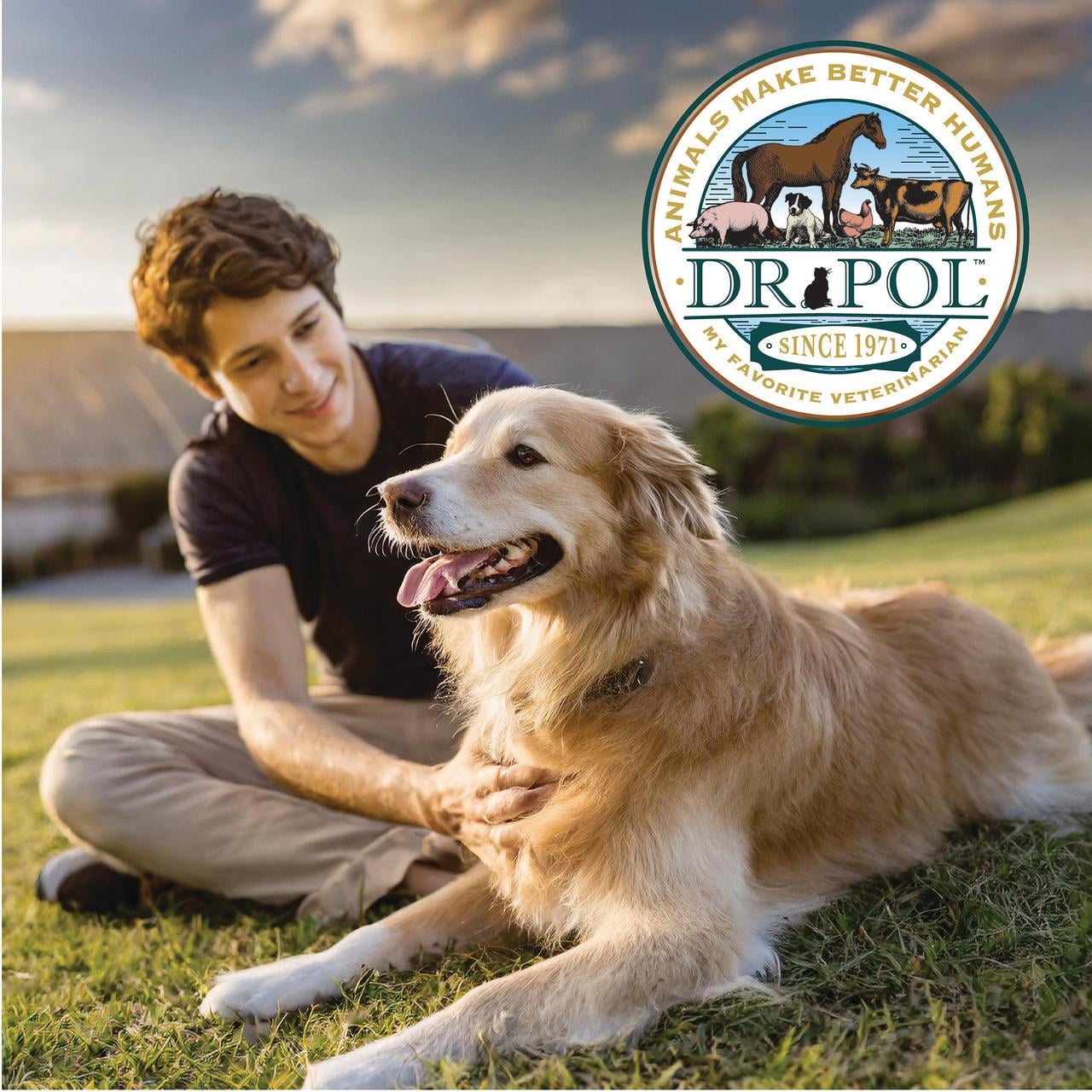 Dr. Pol Limited Ingredient Beef Canned Dog Food, 12.5oz.