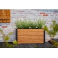 thumbnail image 6 of Vita Mezza 39"L x 16"W x 19"H Small Cedar Parklette Planter, Golden Brown, VT17715, 6 of 11