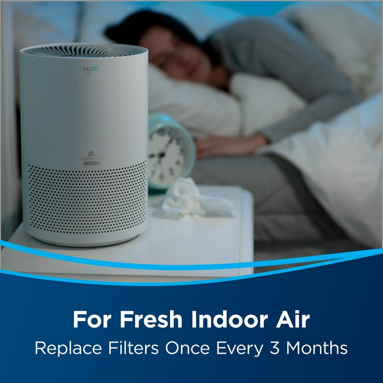 BISSELL Myair High Efficiency Replacement Filter 2801 Walmart