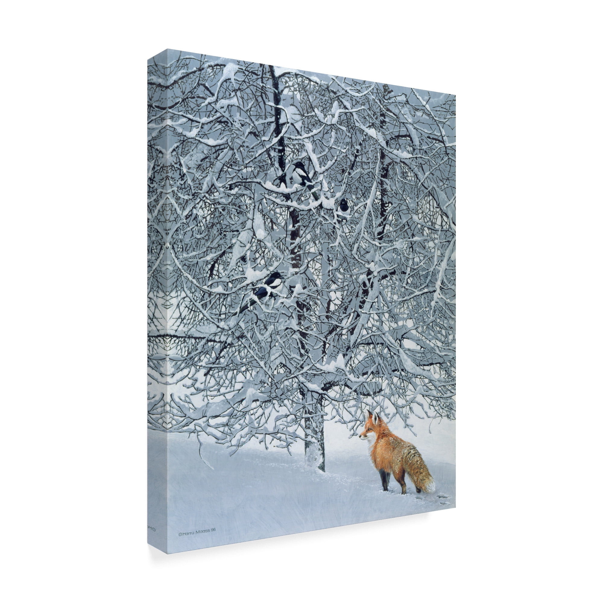 Trademark Fine Art 'Fox In Snow' Canvas Art by Harro Maass