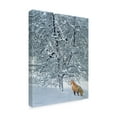 thumbnail image 2 of Trademark Fine Art 'Fox In Snow' Canvas Art by Harro Maass, 2 of 3