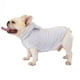 thumbnail image 2 of Xihbxyly Chaleco de Moda para Perros, Abrigo de Invierno para Mascotas, Poliéster Azul, Abrigado y Seco, Diseño Unisex, Disponible En Varias Tallas, Ideal para Exteriores En Climas Fríos., 2 of 5