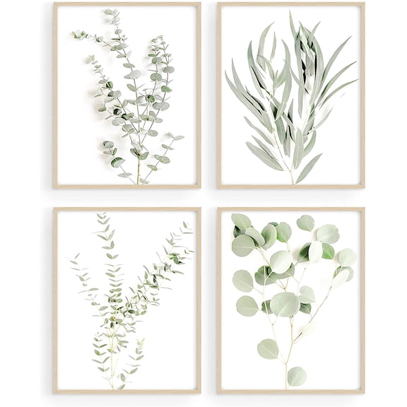 Haus and Hues Framed Botanical Prints - 11"x14" Set of 4 Framed Plant Pictures Wall Art - Botanical Decor - Eucalyptus Wall Decor - Plant Wall Decor - Botanical Wall Art Framed - Framed Plant Prints